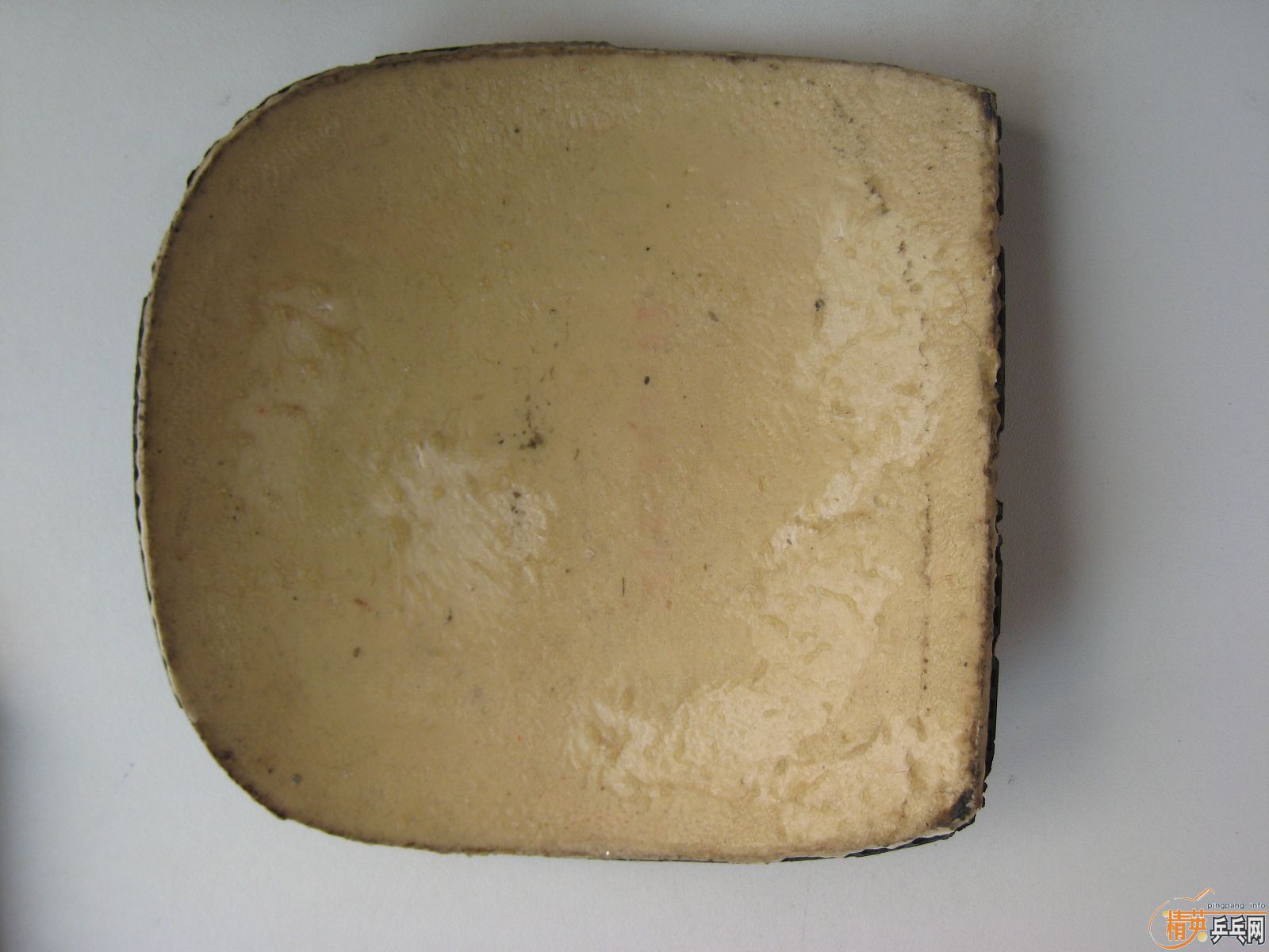 ��T05,SRIVER,DONIC F1,��JO�����ס�