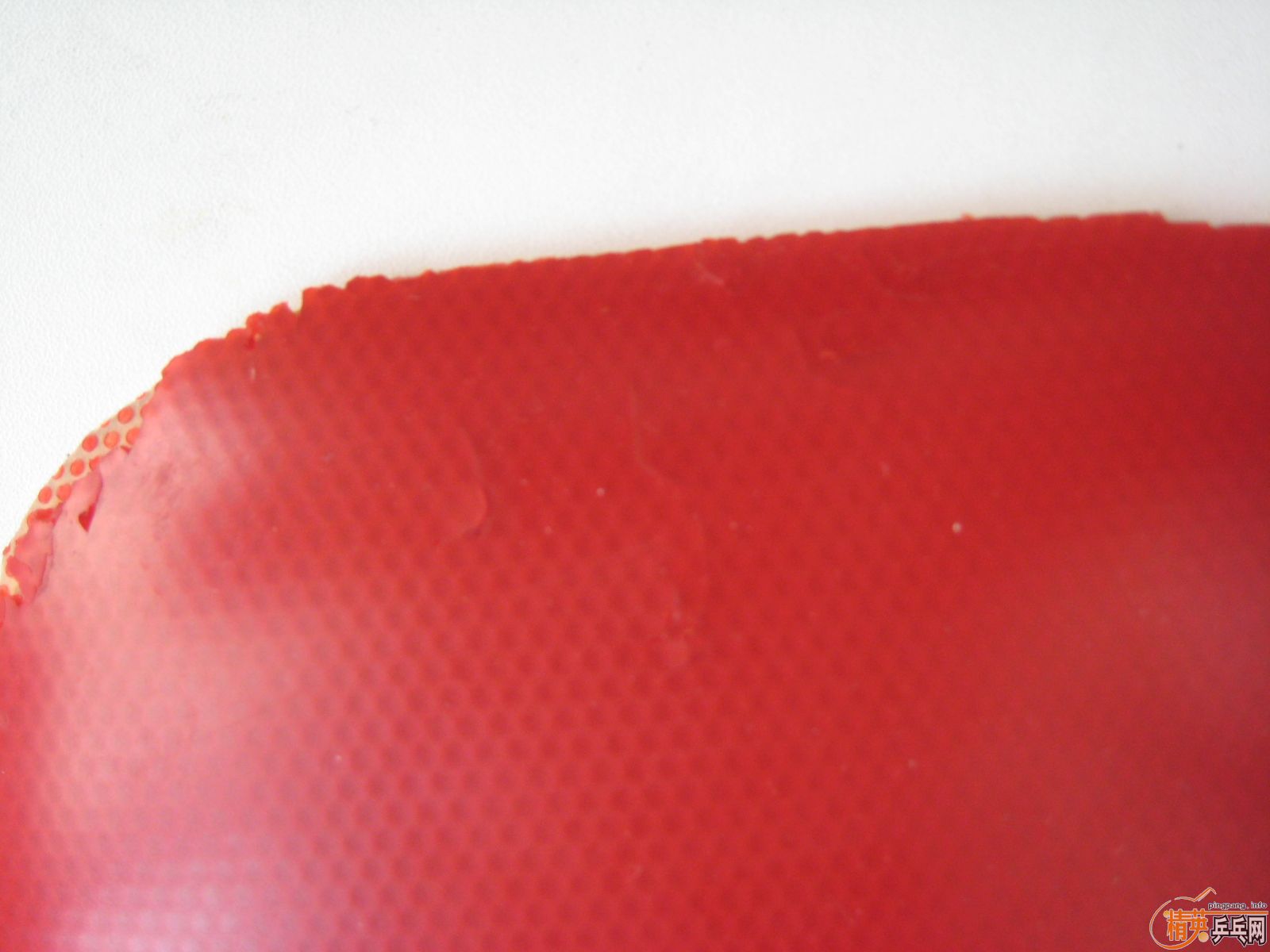 ��T05,SRIVER,DONIC F1,��JO�����ס�