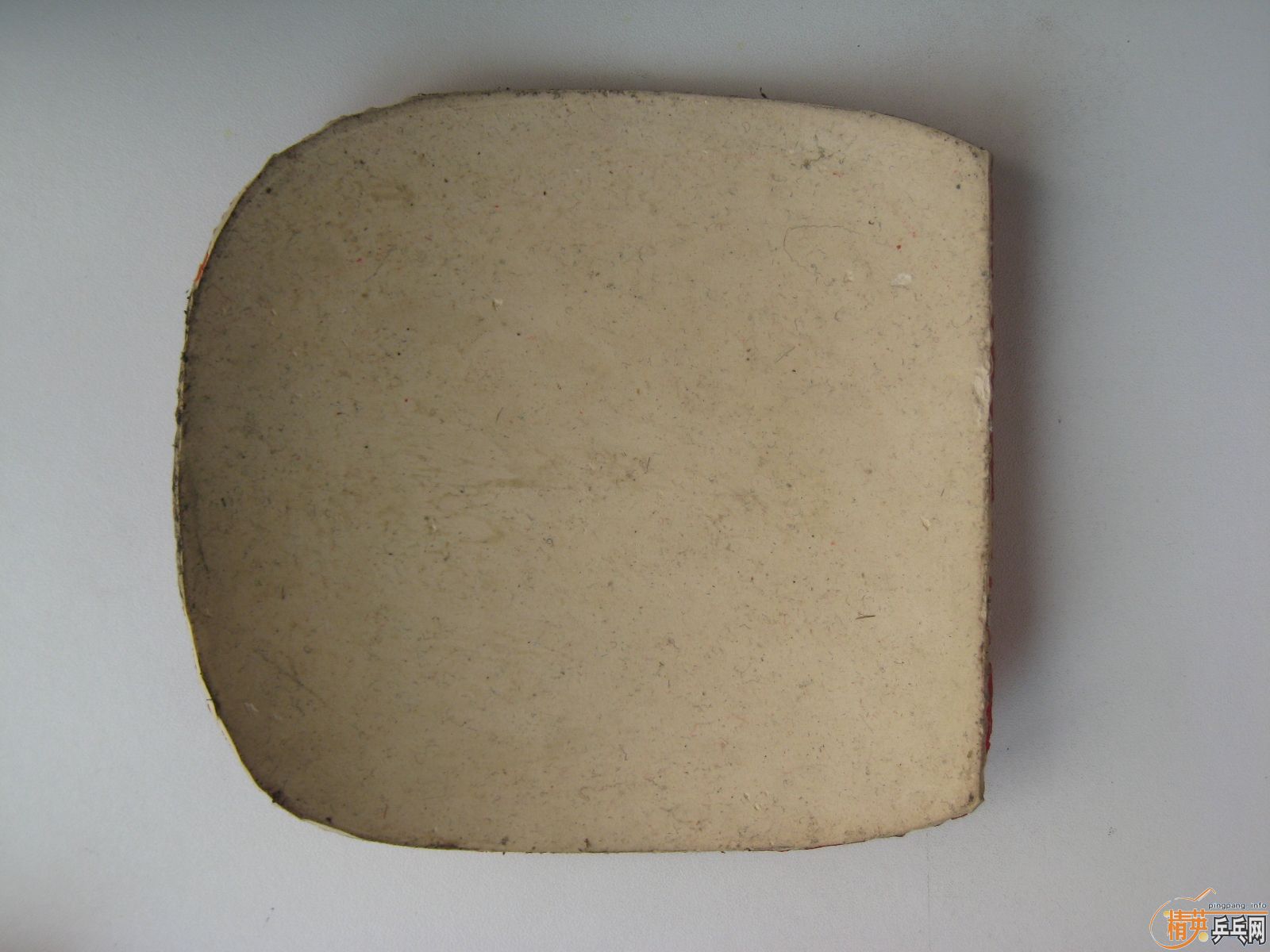 ��T05,SRIVER,DONIC F1,��JO�����ס�