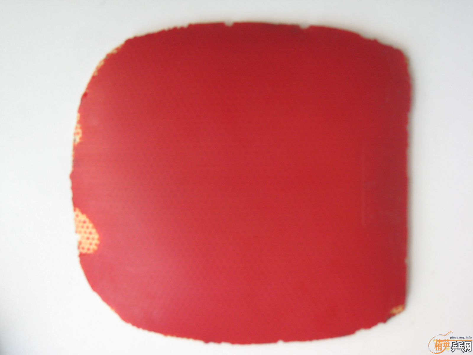 ��T05,SRIVER,DONIC F1,��JO�����ס�