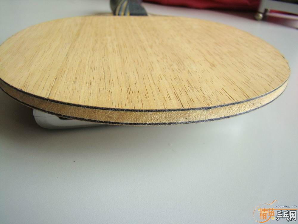 ��˹�ٿ�EG  ֧����