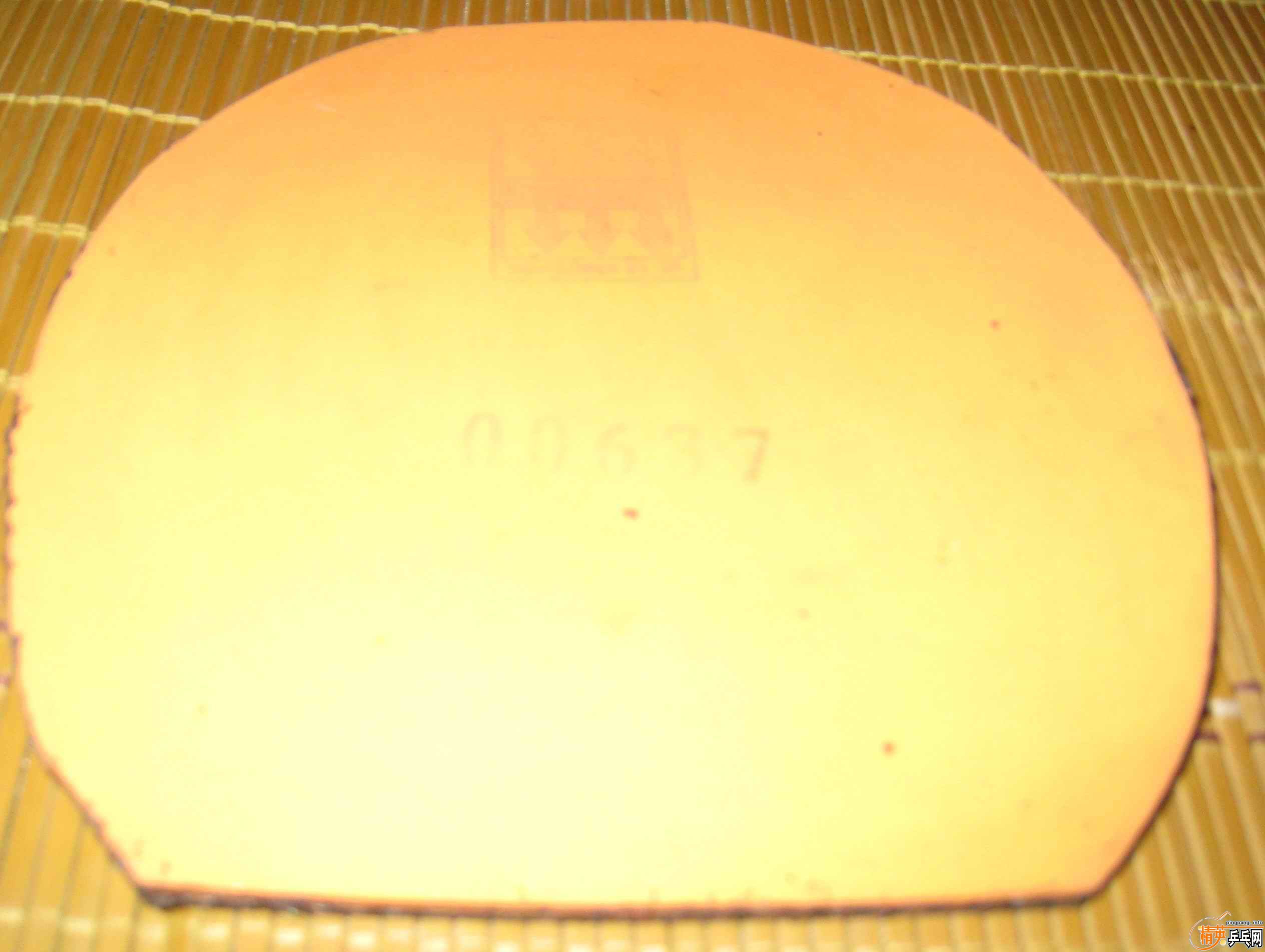 CRJBl9d6.jpg