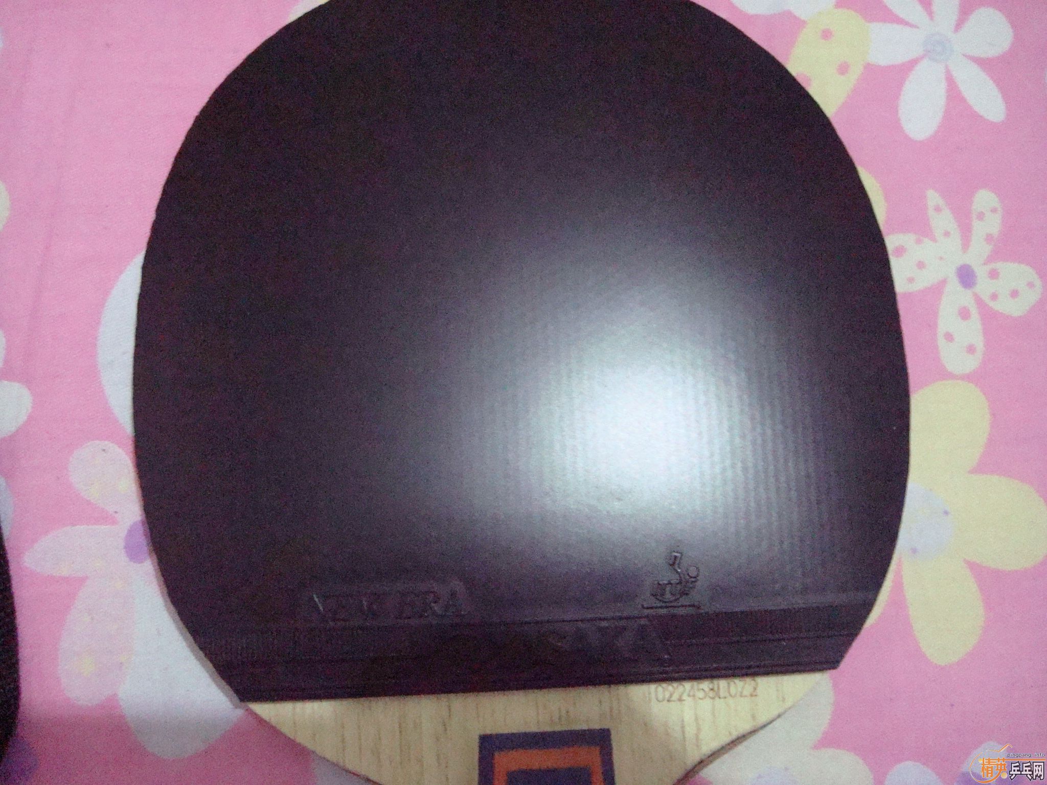 ���Ͽ��CS