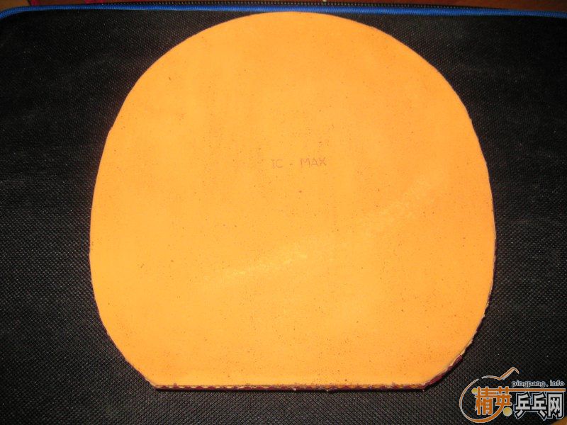 9.5���µĺ�����Ƥ��Ѫ����