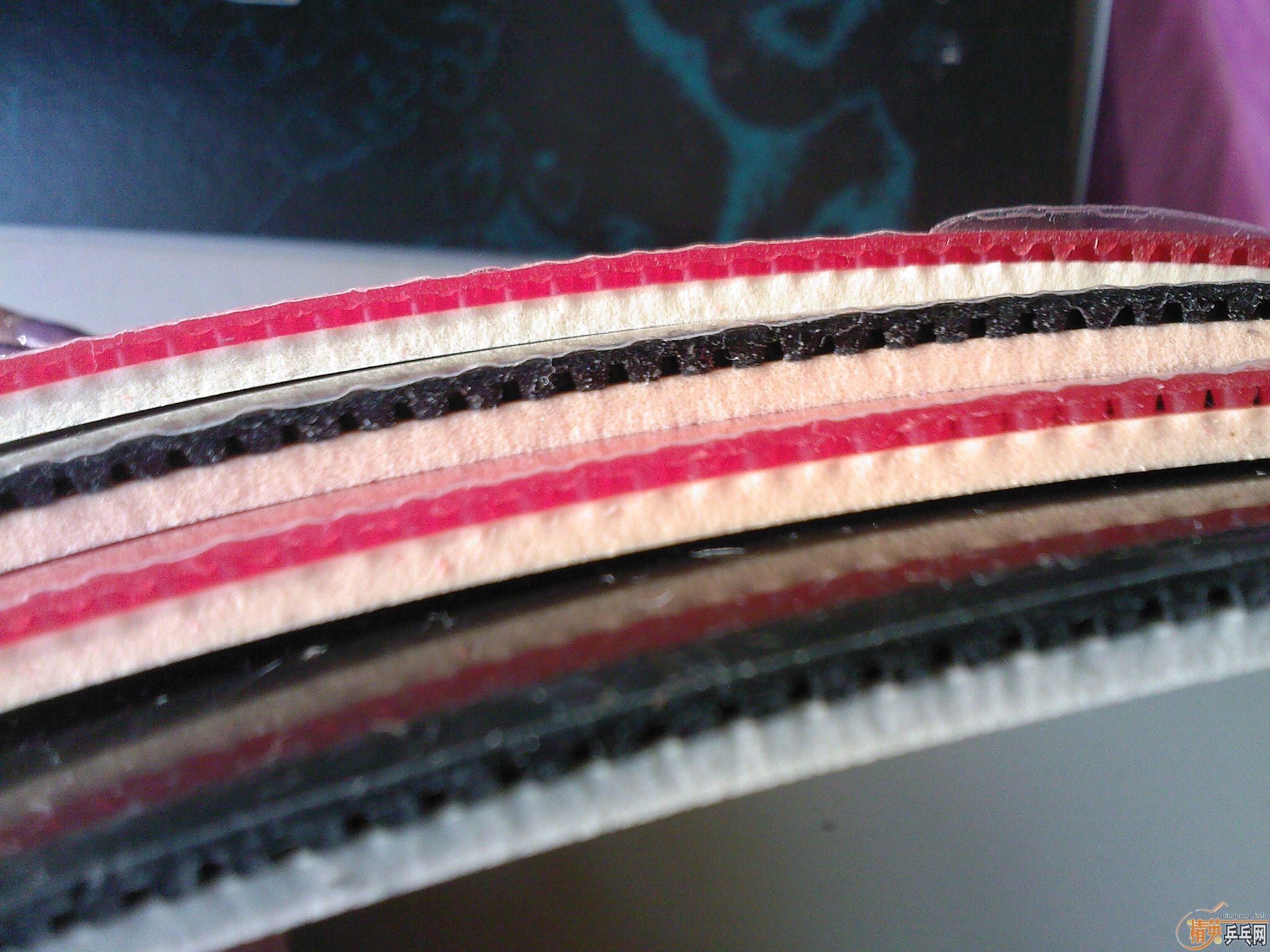 ���˳�����STIGA���ܽ�Ƥ����Ȥ����