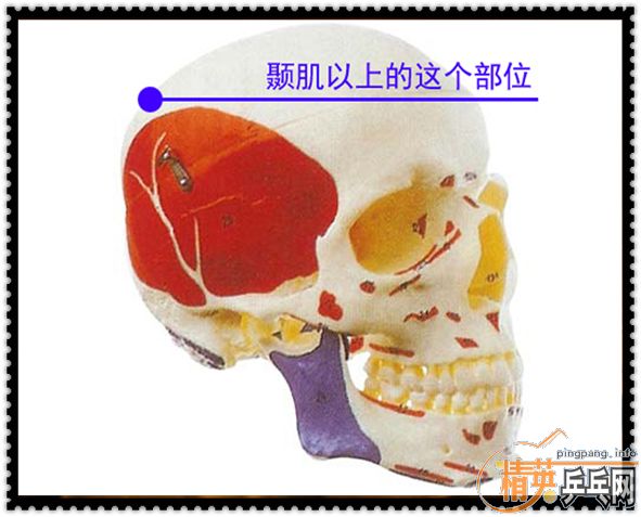 [ԭ]ѧһ顰áװҪЩ֪ʶ㴿ľƪ