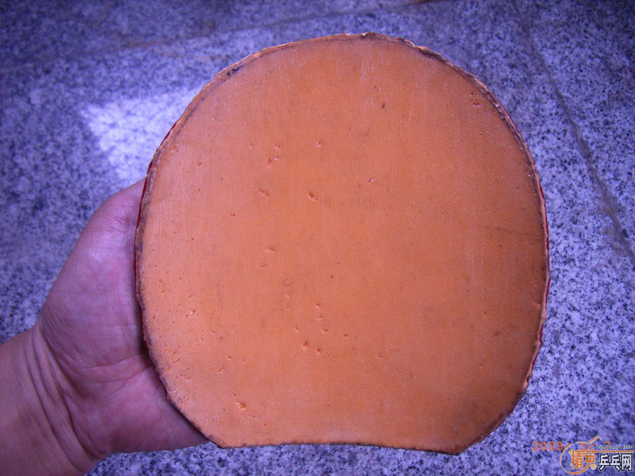 ����JO��EL