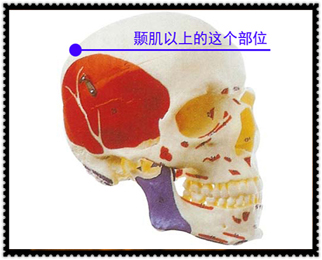 ѧһ顰áװҪЩ֪ʶľƪ