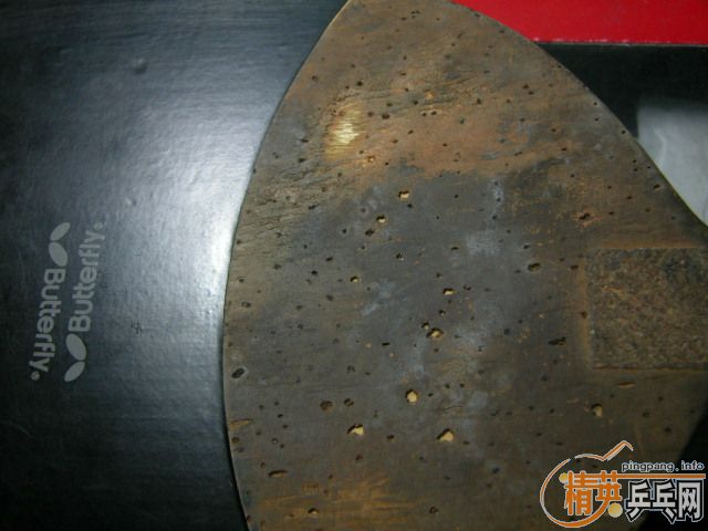 һֻ���Ͻ�2000