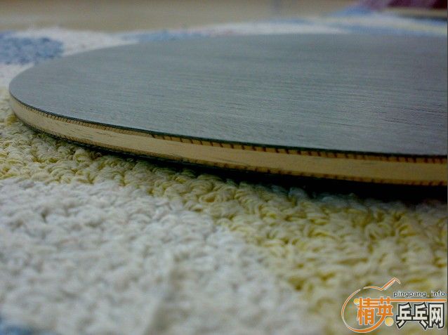 ����ֻ��˫ϲ���ӣ�450һֻ����˵�ϻ��Ĺ�Զ�㣩