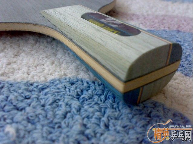 ����ֻ��˫ϲ���ӣ�450һֻ����˵�ϻ��Ĺ�Զ�㣩