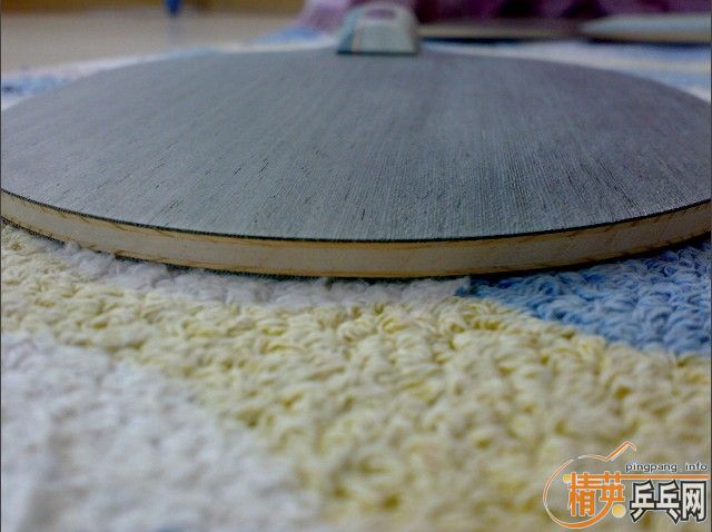 ����ֻ��˫ϲ���ӣ�450һֻ����˵�ϻ��Ĺ�Զ�㣩