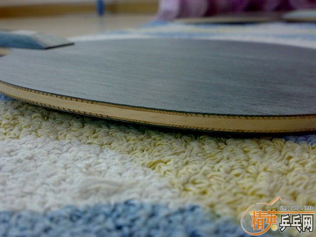 ����ֻ��˫ϲ���ӣ�450һֻ����˵�ϻ��Ĺ�Զ�㣩