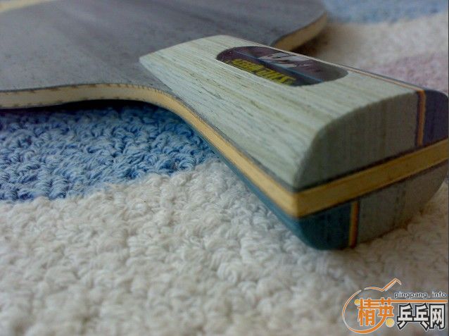 ����ֻ��˫ϲ���ӣ�450һֻ����˵�ϻ��Ĺ�Զ�㣩