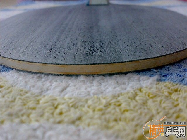 ����ֻ��˫ϲ���ӣ�450һֻ����˵�ϻ��Ĺ�Զ�㣩