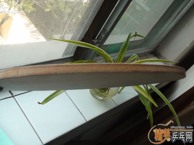 ����ֱ��XSTAR-X������棬���׿��򡣺ܺ���