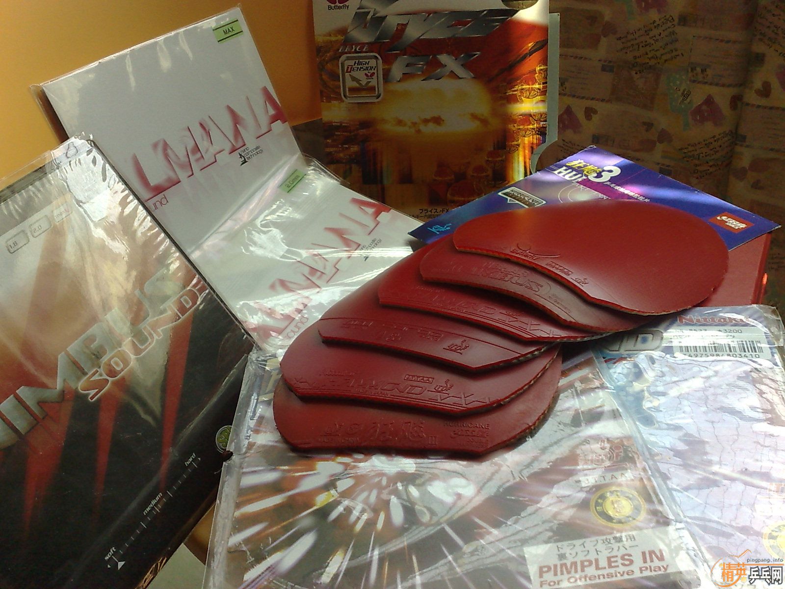 ___�ٴγ������FX��������2�ţ�ͦ������������˹�ۿ���___