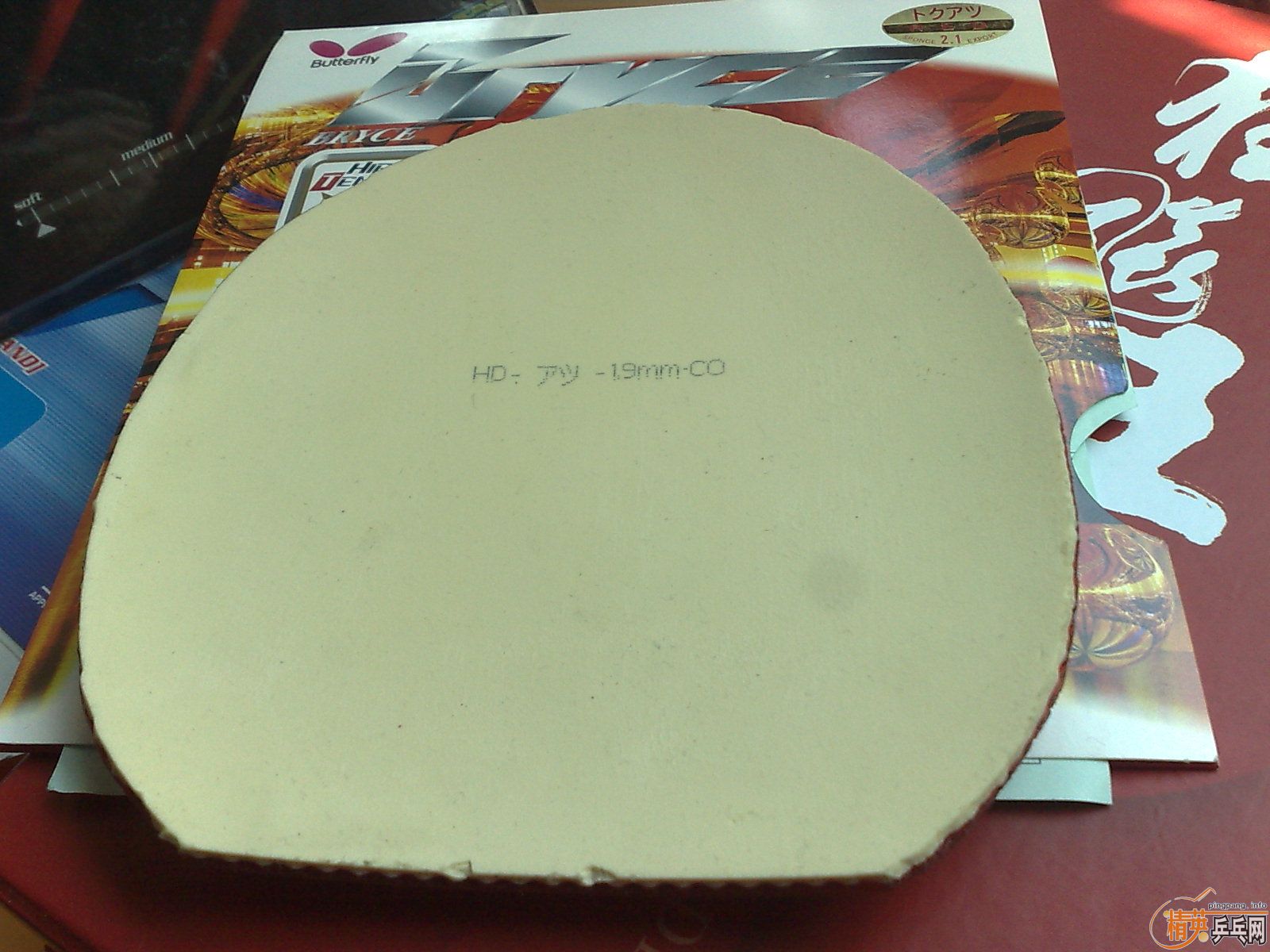 ___�ٴγ������FX��������2�ţ�ͦ������������˹�ۿ���___