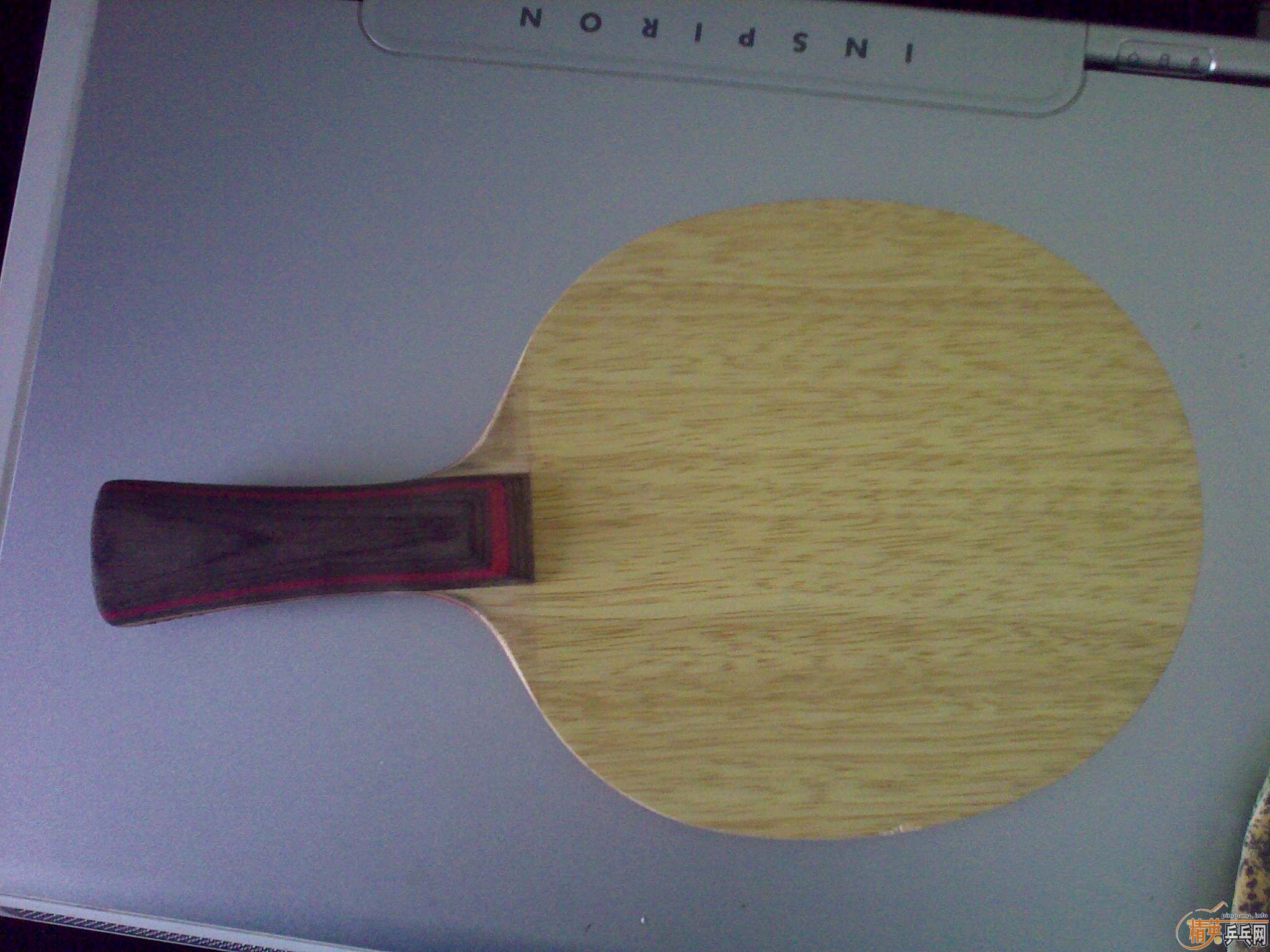 ��ֻ���������ε��հ�CL��Fl���������ˣ�