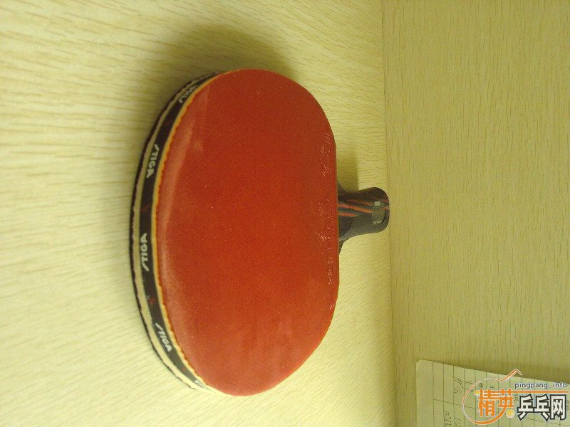 �����ǳ��µĺ��