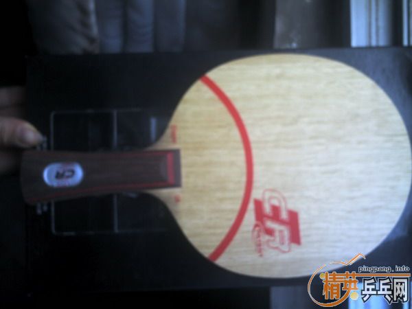 �� ��ʤ�� CL-CR ���=315Ԫ(�����)