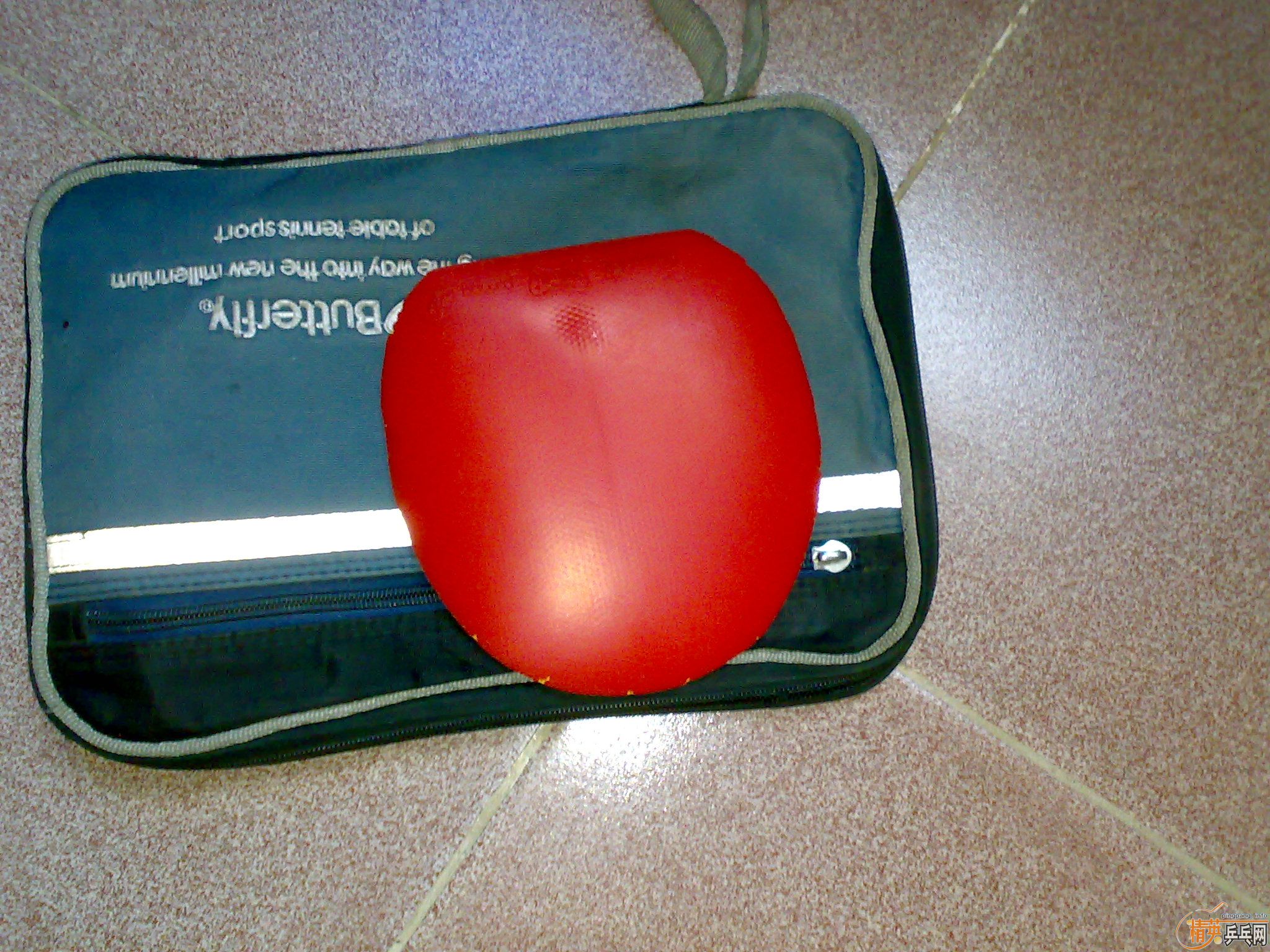 ��Ǹ�����س��������������������EL��˹���֡�ħ�����׽���