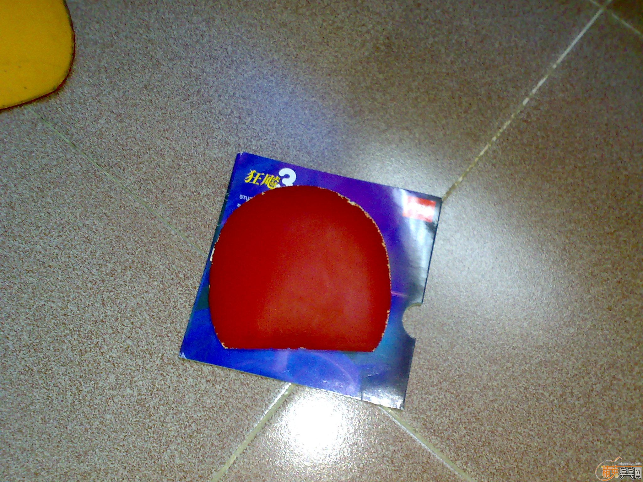 ��Ǹ�����س��������������������EL��˹���֡�ħ�����׽���