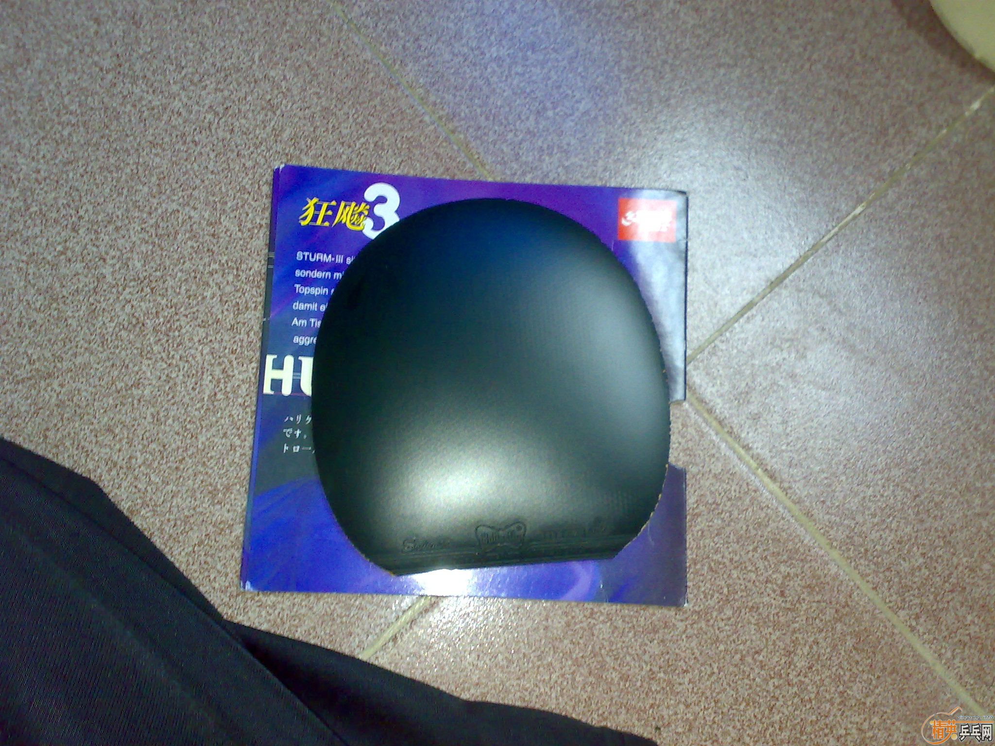 ��Ǹ�����س��������������������EL��˹���֡�ħ�����׽���