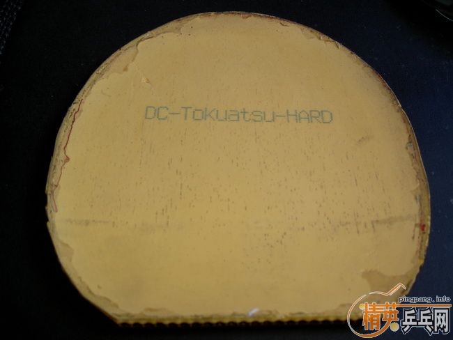 ���ۺ���TACKIFIRE-C��FLEXTRA�׽�����Ϊ�죩��