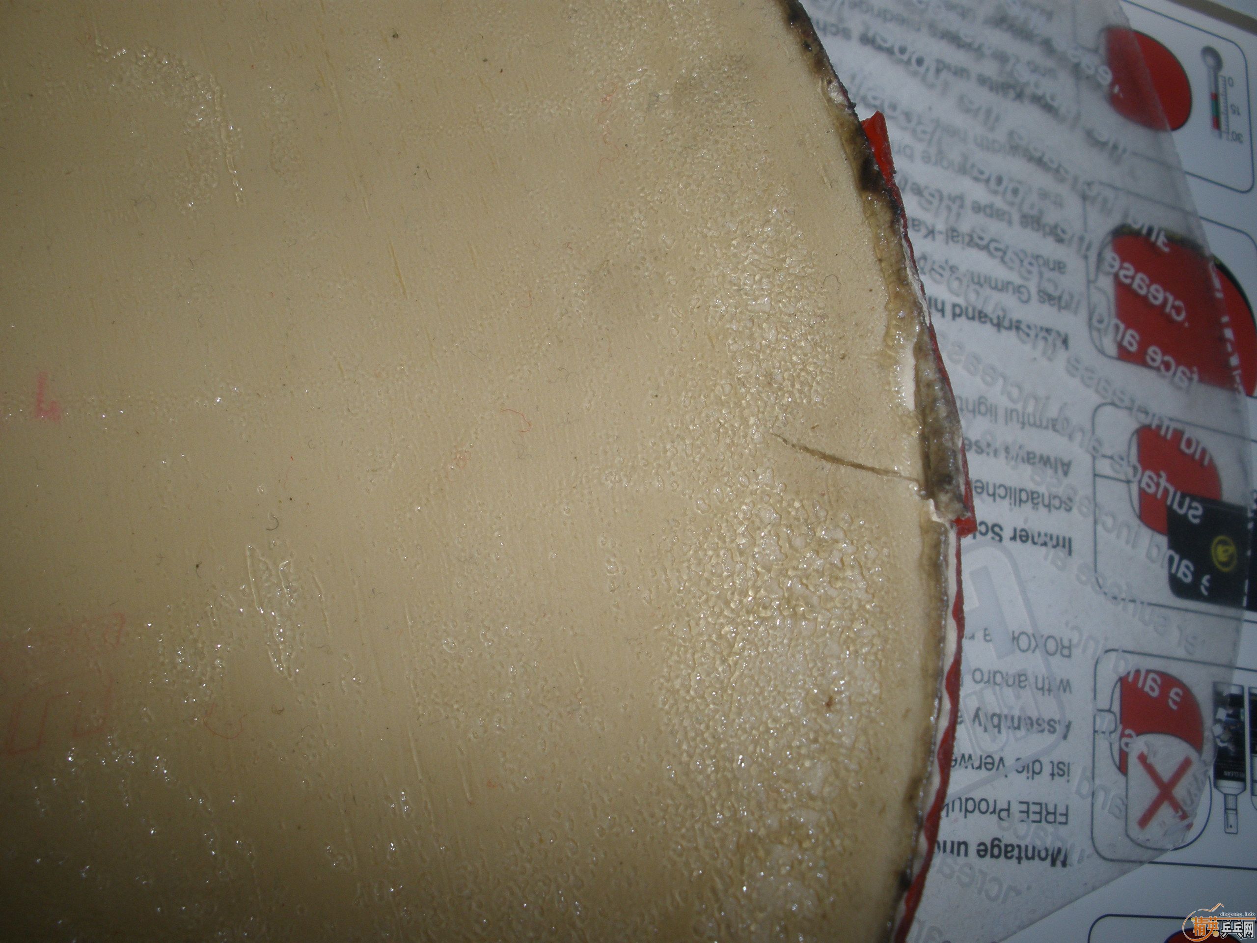 ROXON450��MACRO�ͼ�˦������