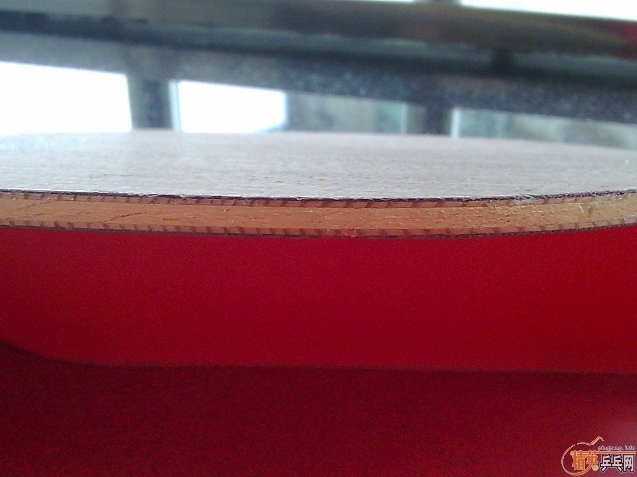 ���¿�������һ����˰�������550�򽻻�ֱС���٣�