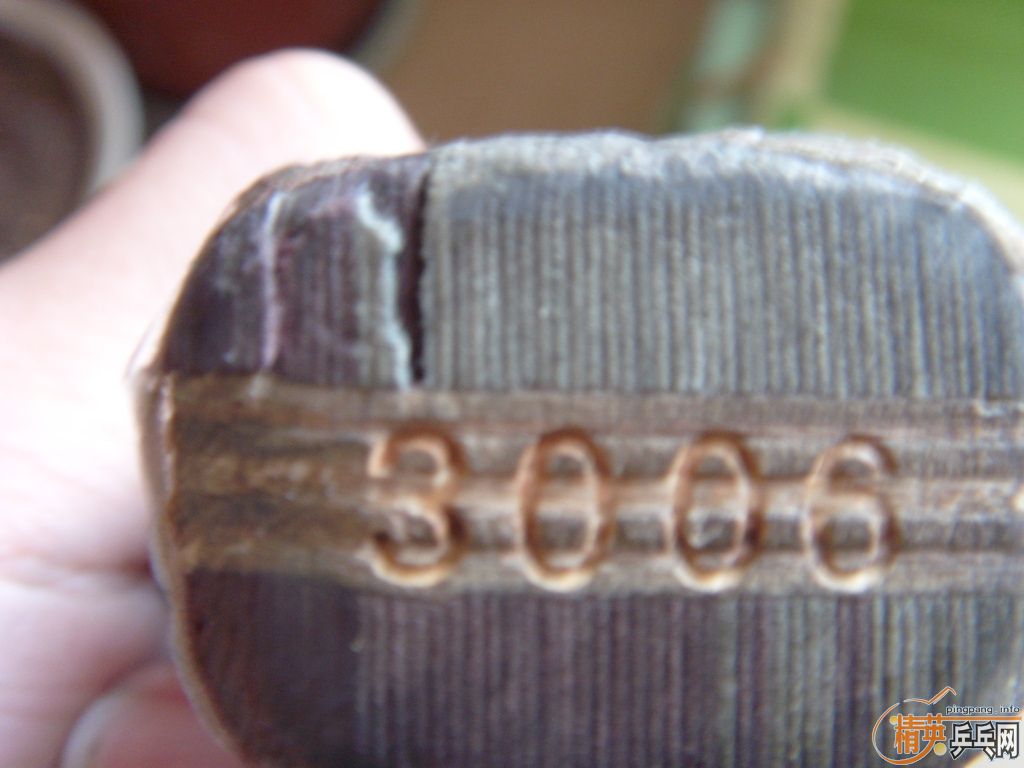 [�Ƽ�]һ����Լ��ò��ŵĶ�������ҿ�������Ҫ�ľ����ߣ�������С�������������˹�  ������ ֱ�塢�׽���ƹ������