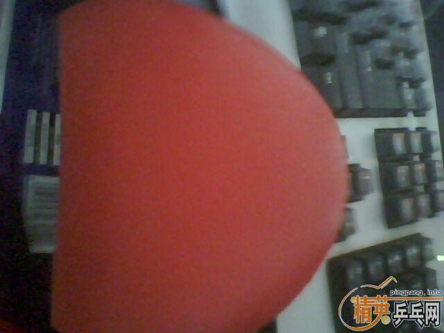 ��9�¿���9�¿�ľ