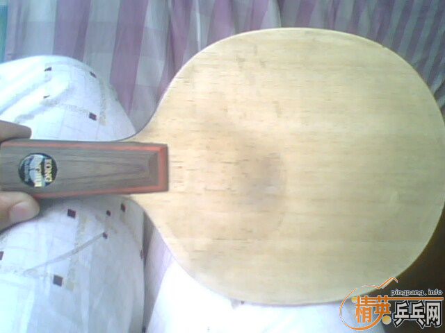 ��9�¿���9�¿�ľ