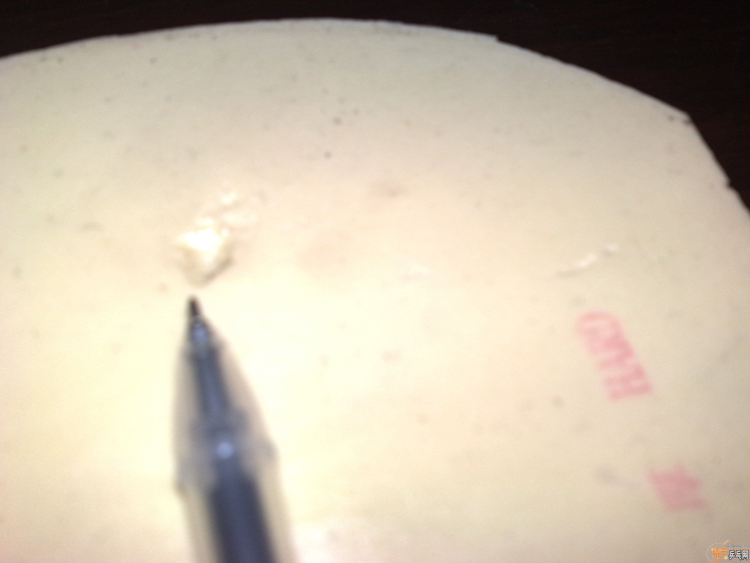 ��NITTAKU ���˺Ϳ���~��