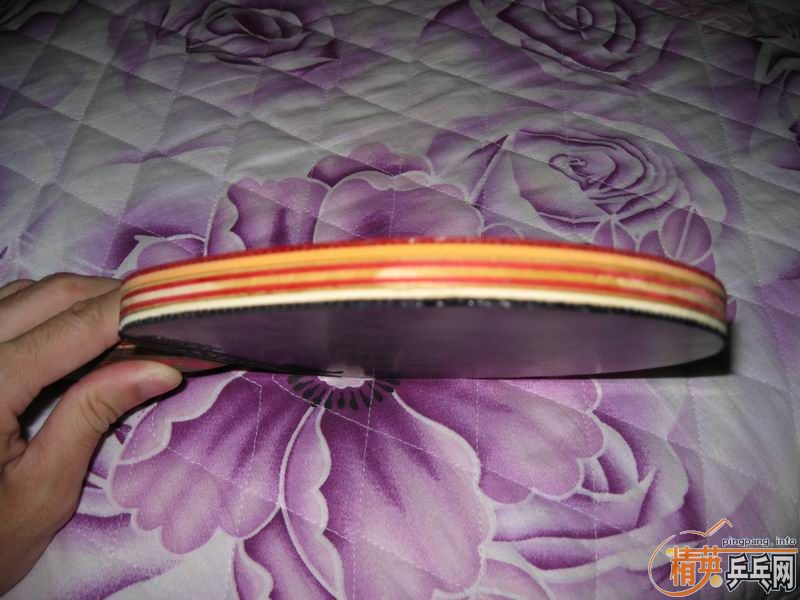 ����CL�����û���5.4,���,YEO