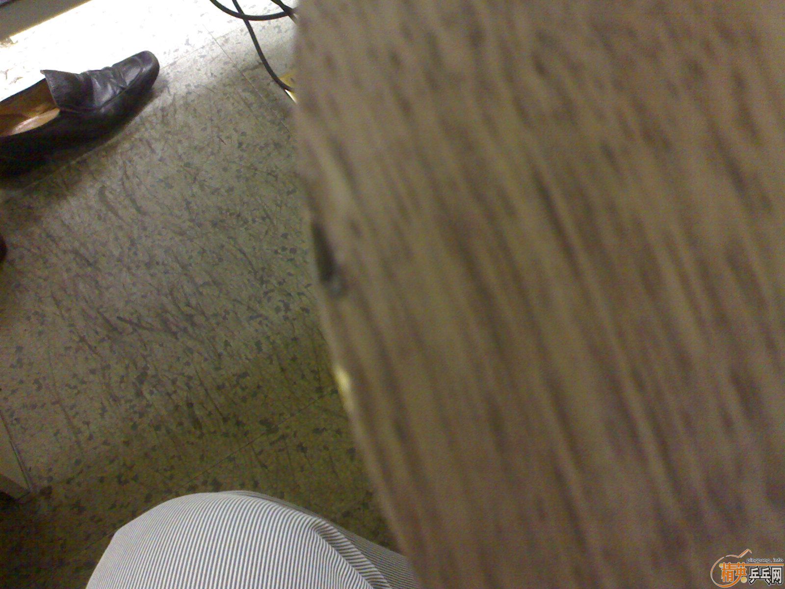 ��������5.4��95�¿�3��Ƥ