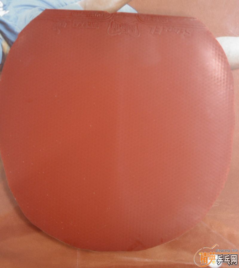 [ԭ��]�ײ˼ۿ�����С��El,˹�ٿ�������ŵ����