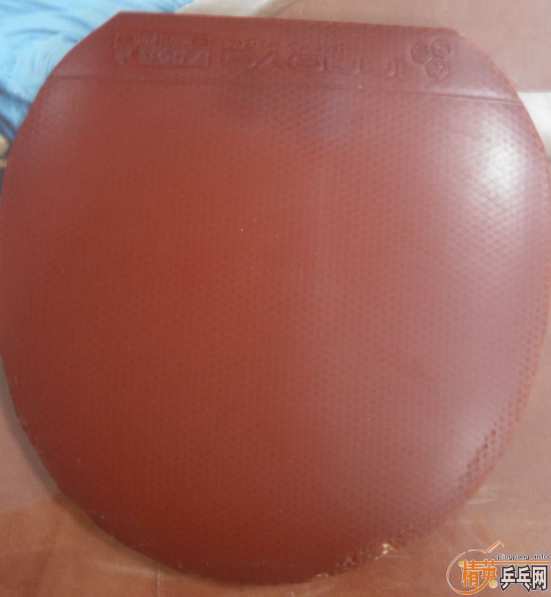 [ԭ��]�ײ˼ۿ�����С��El,˹�ٿ�������ŵ����