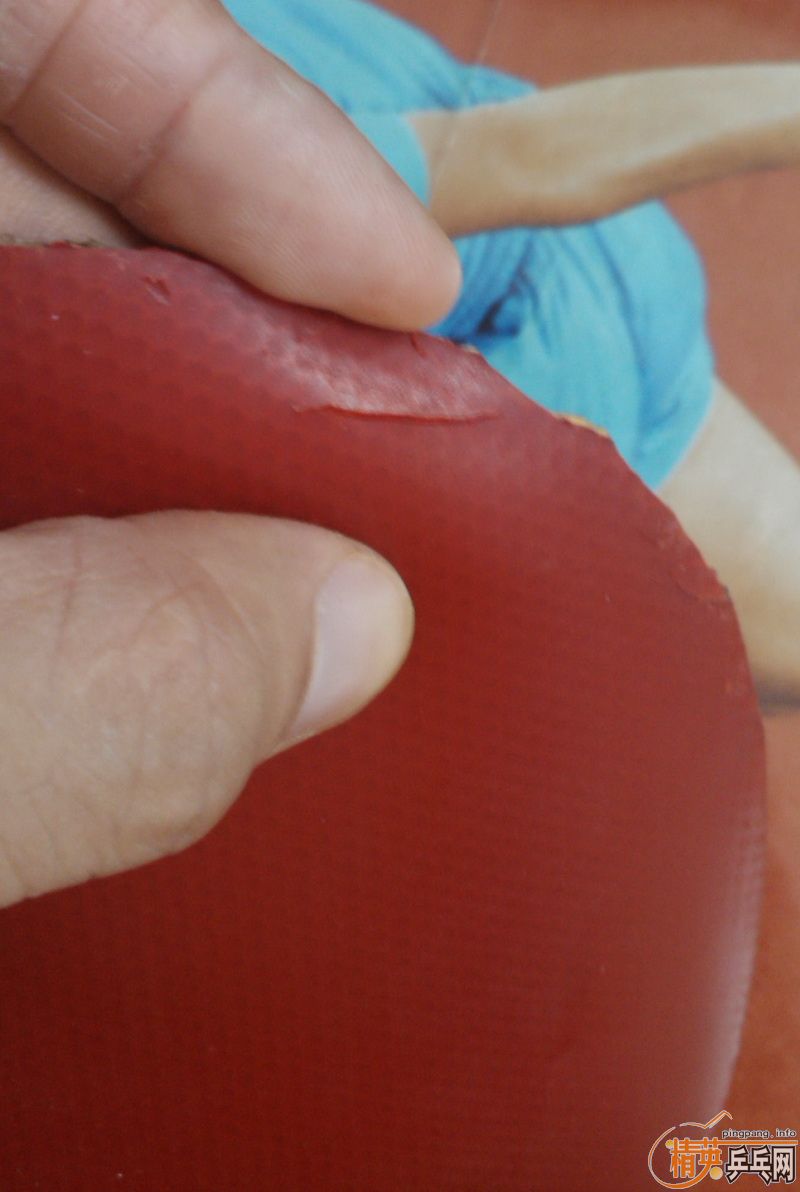 [ԭ��]�ײ˼ۿ�����С��El,˹�ٿ�������ŵ����