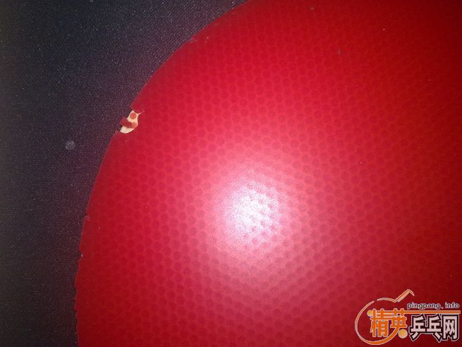 ��һЩ����װ�� �žų����л�EG+�������+����FX+�տ���