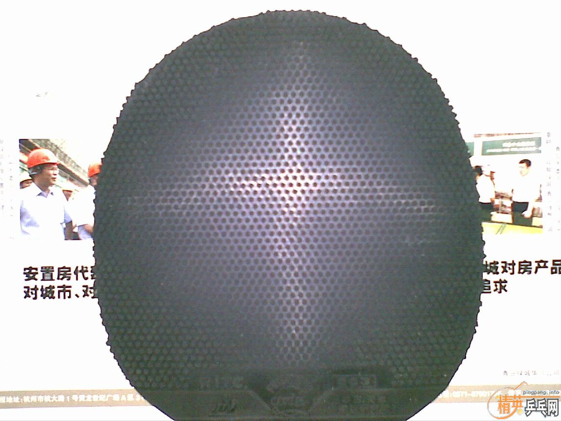 �ͼ۳�����CL���׽�����