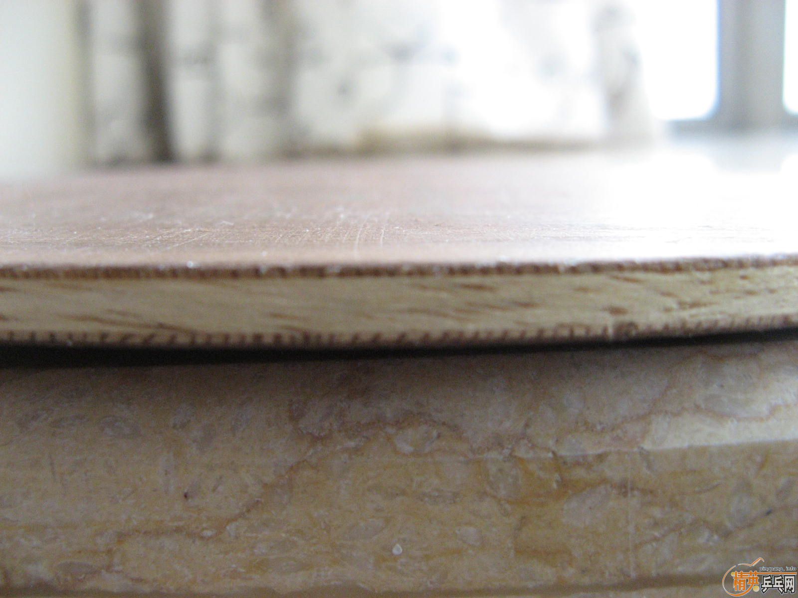 [ԭ��]��һ���ϰ��YASAKA��9���£����޸���ͼ��