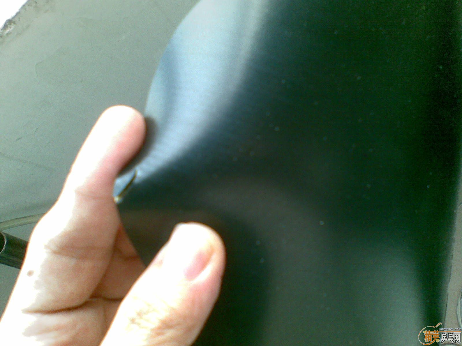 ������nodias ��ɫ  130����