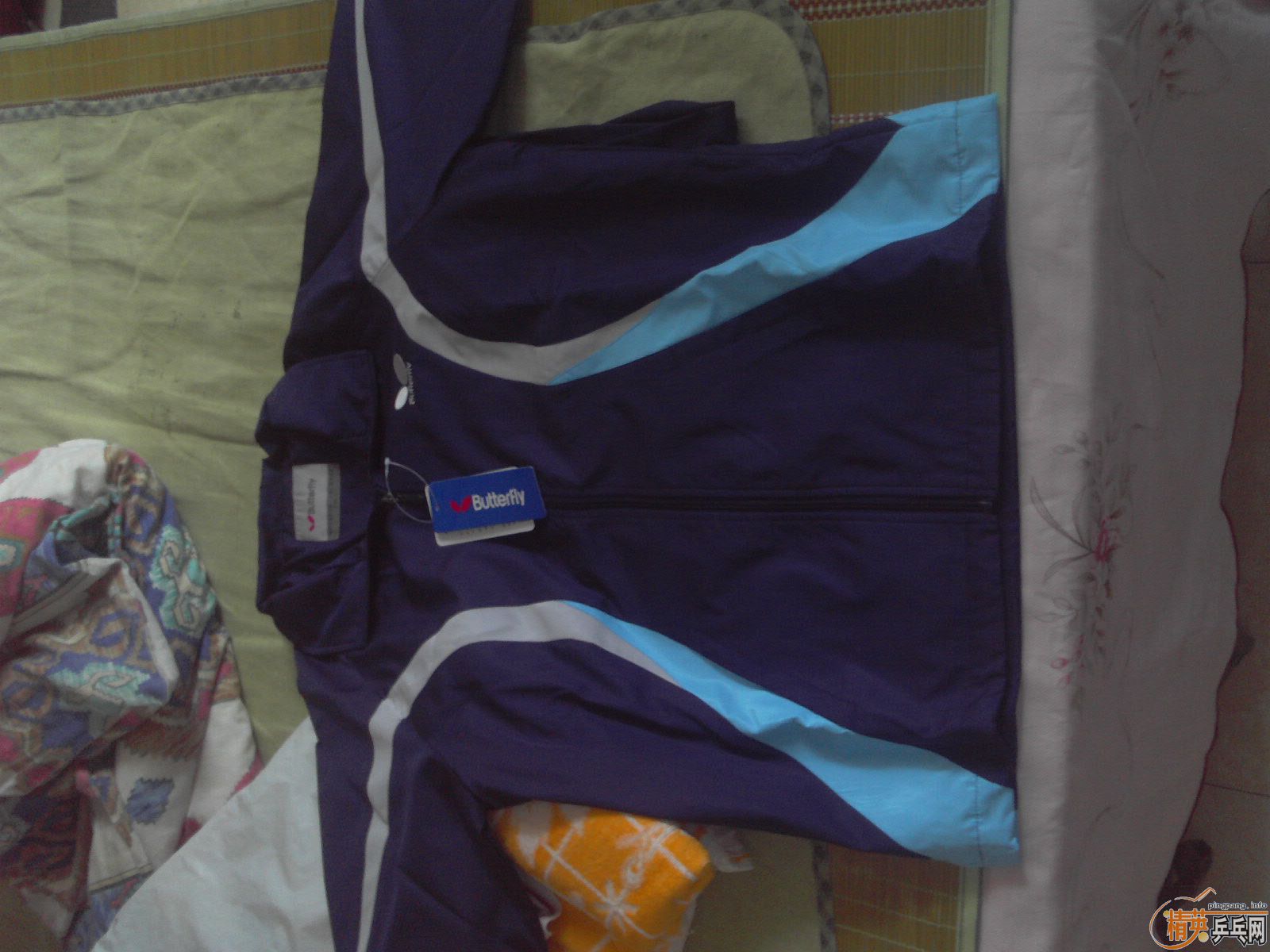 09���¿�������������׽������