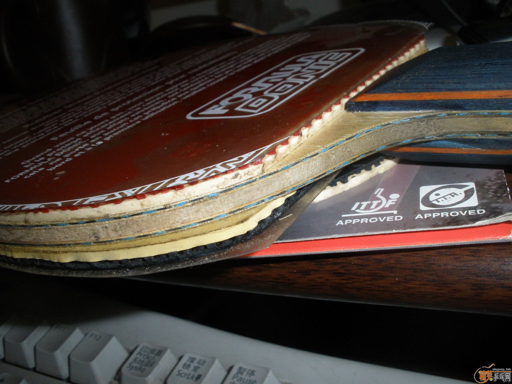 ���˵��հ�st����ȫ�׺ͺ�ɫroxon500