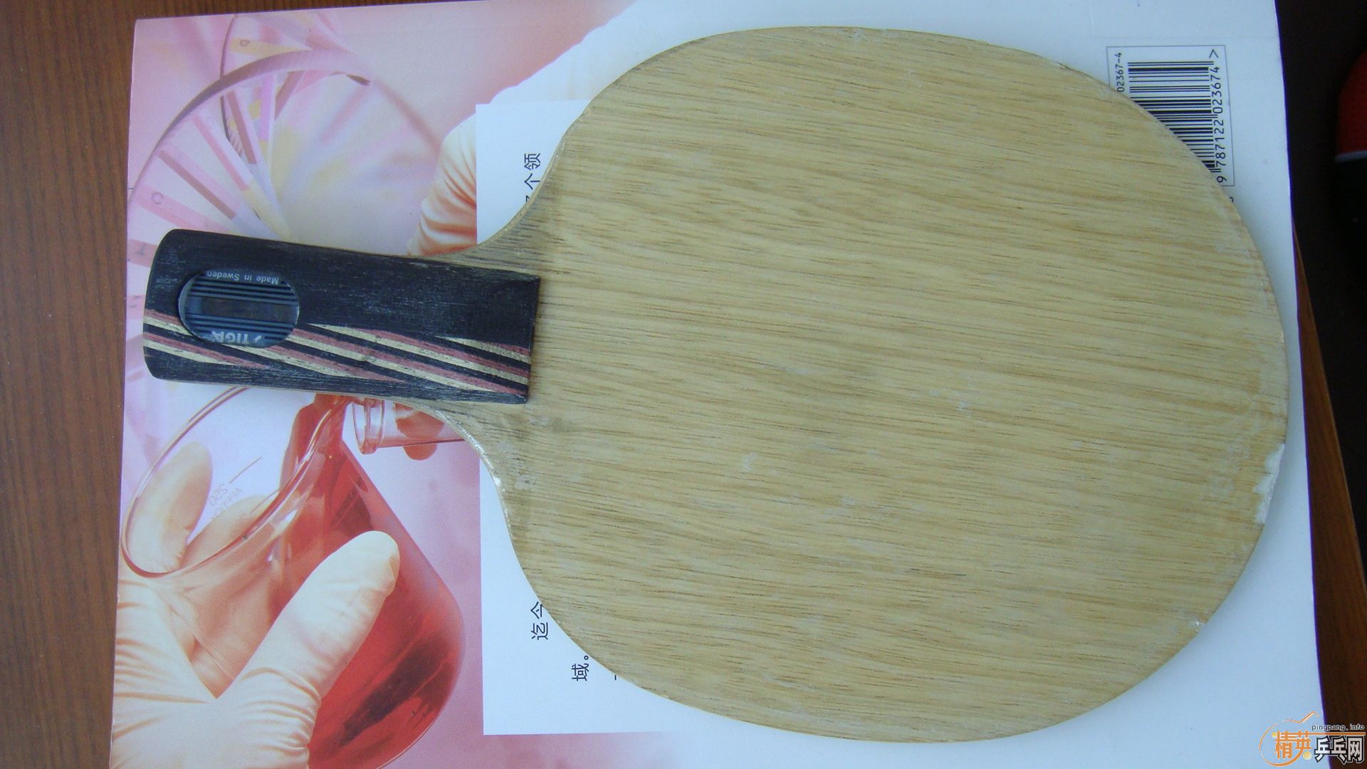 9����3com��У�����򻻿���˹