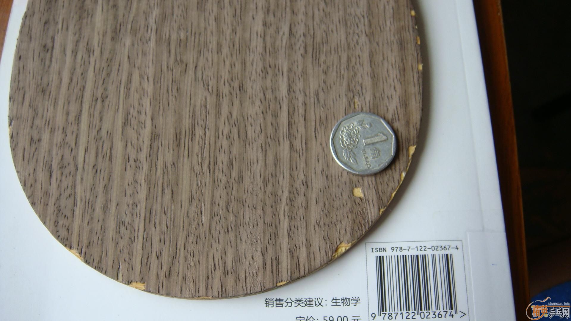 ��������ˮ��oc+���ã�100Ԫ����