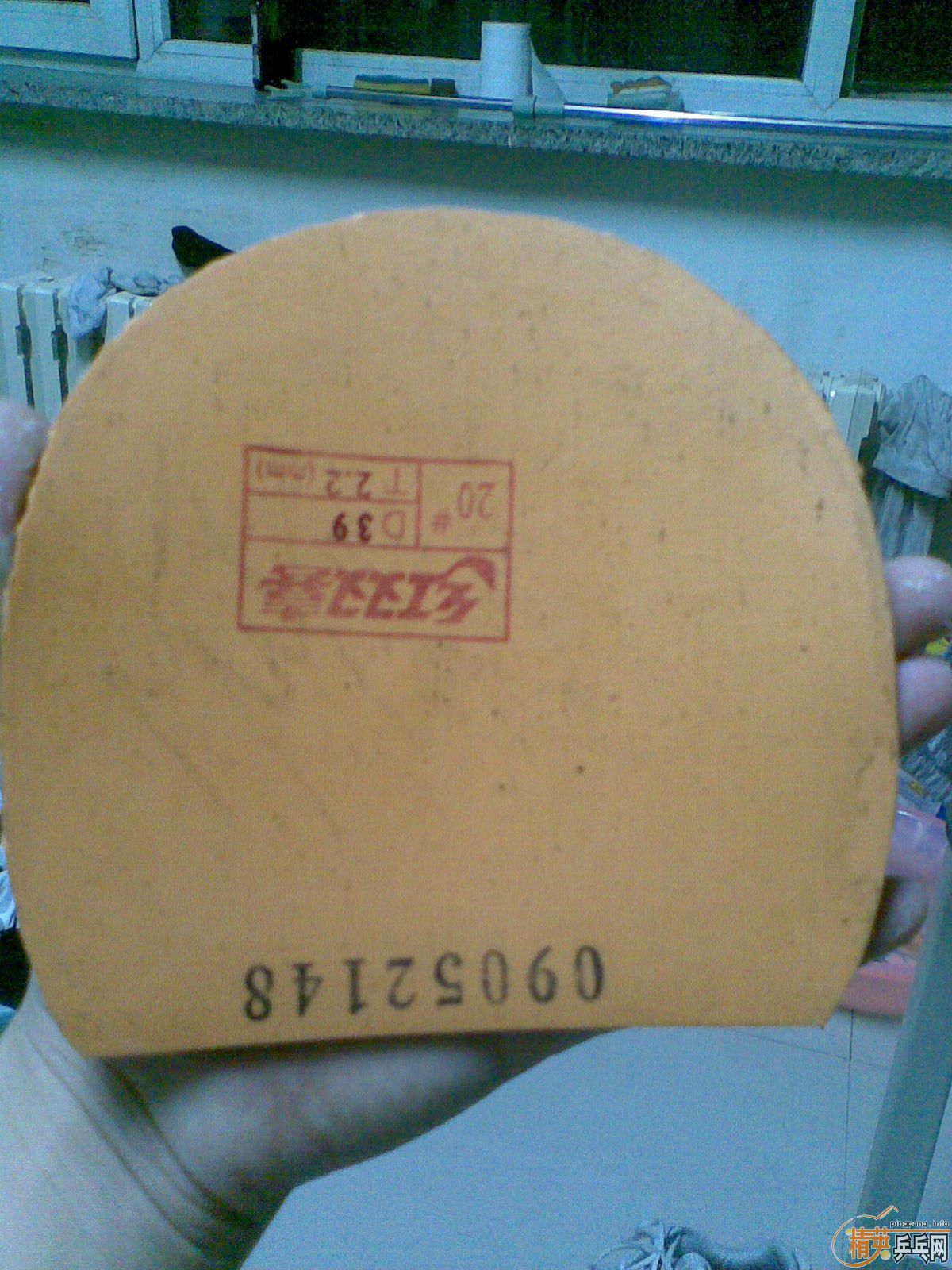 ʡ39ȣ95£ֱ