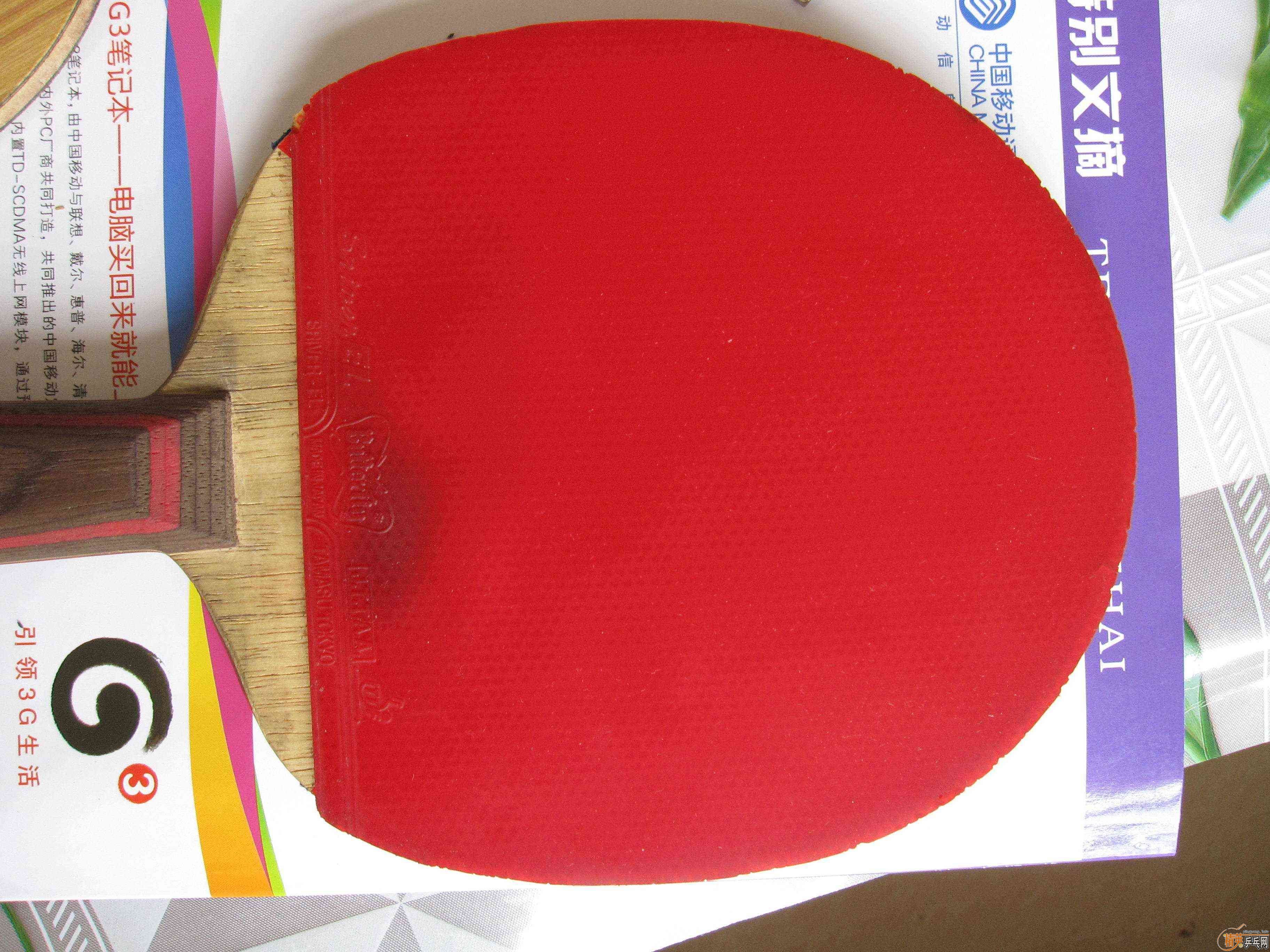 ���¿���